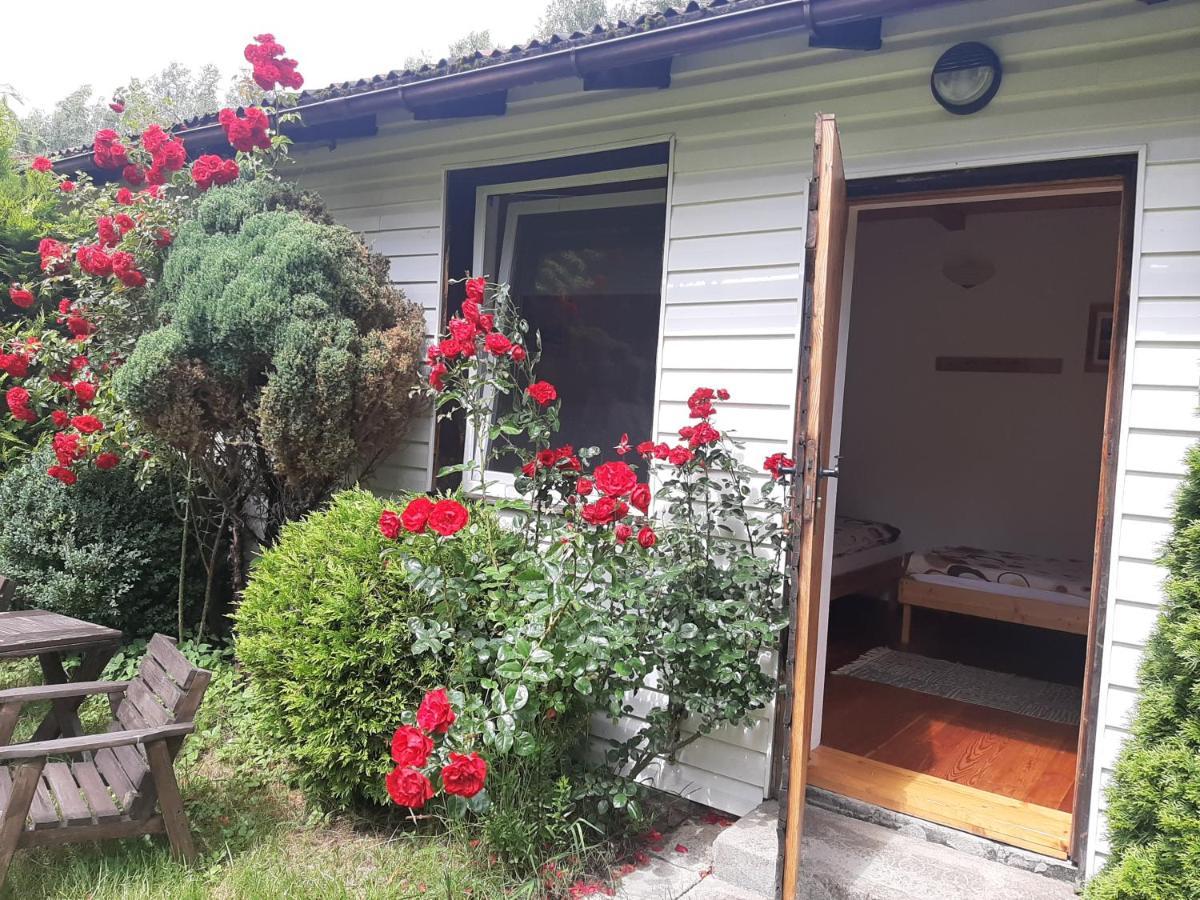 Agroturystyka Gaga Ustka Exteriér fotografie
